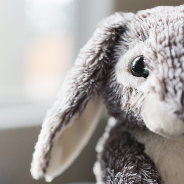 a close up of a plush bunny