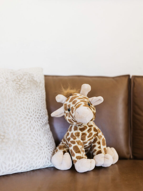 plush giraffe sitting on a couch