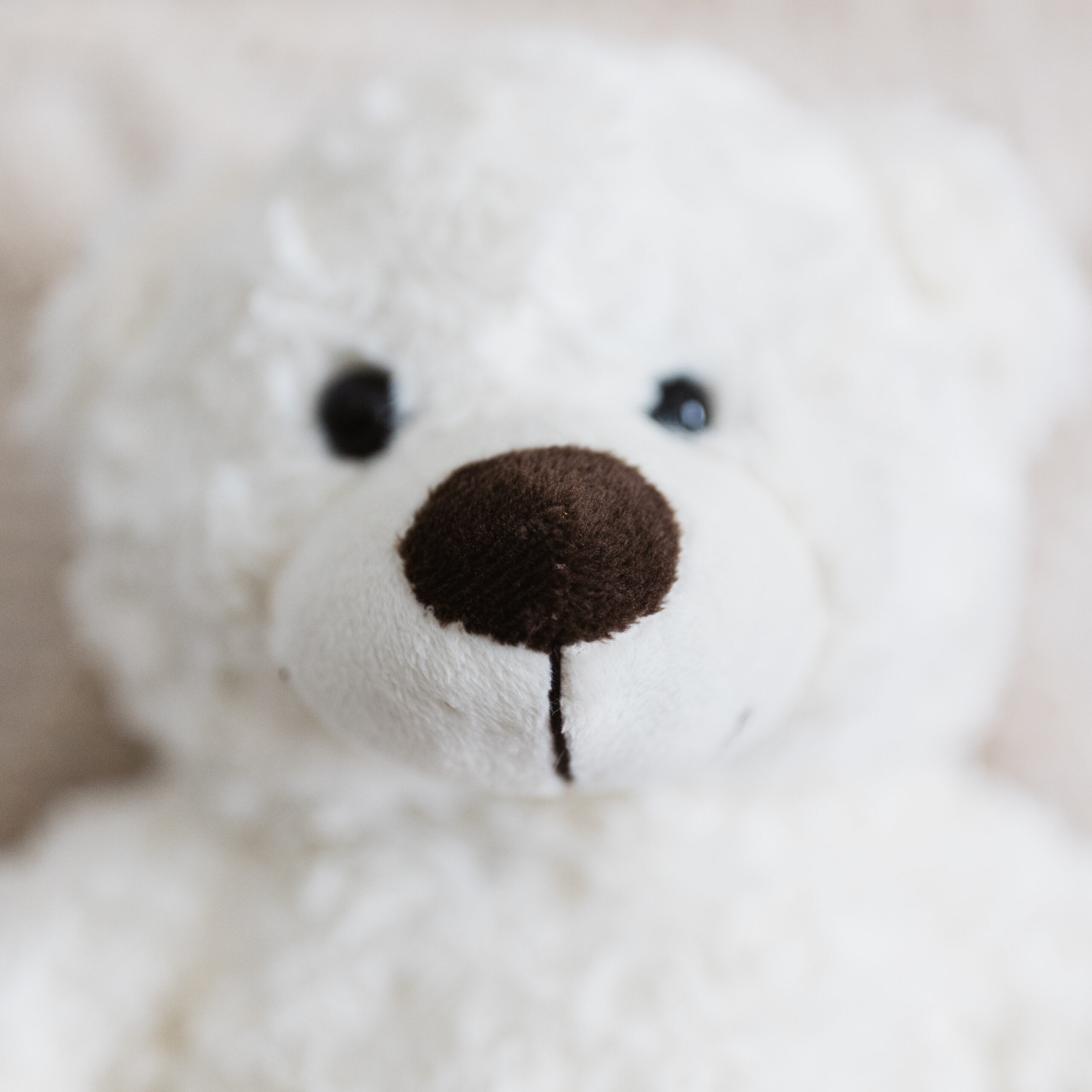 a close up of a plush polar bear