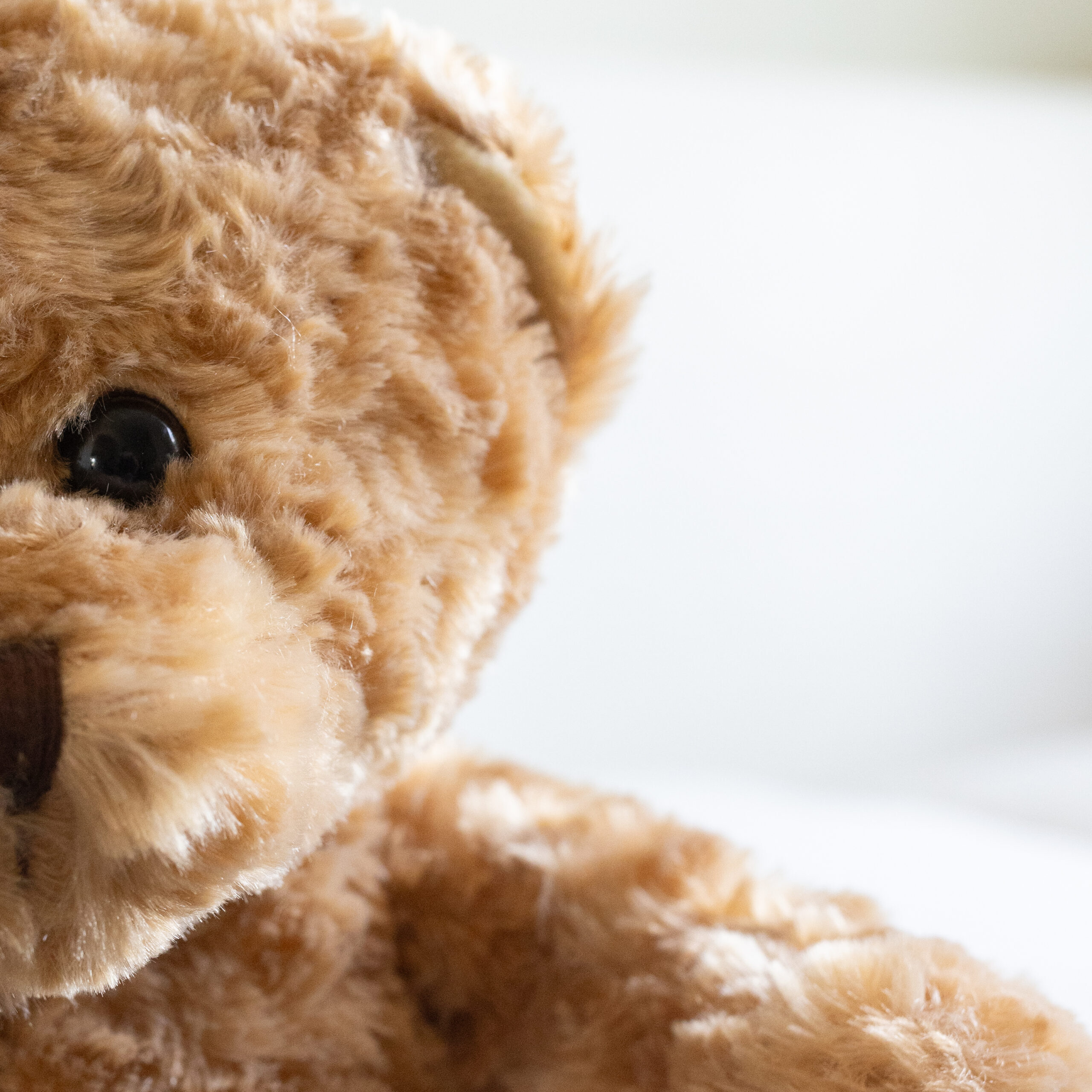 a close up of a plush brown teddy bear